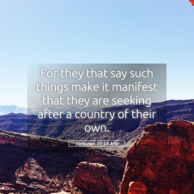 Picture 05 - Hebrews 11:14 ASV - For they that say such things make it manifest - Bible Verse Picture
