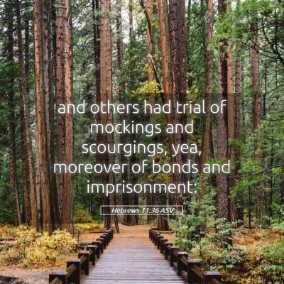 Picture 05 - Hebrews 11:36 ASV - and others had trial of mockings and scourgings, - Bible Verse Picture