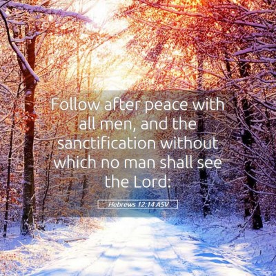 Picture 05 - Hebrews 12:14 ASV - Follow after peace with all men, and the - Bible Verse Picture