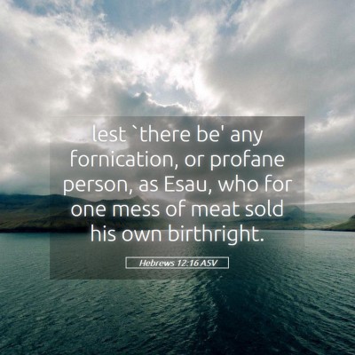 Picture 05 - Hebrews 12:16 ASV - lest `there be' any fornication, or profane - Bible Verse Picture