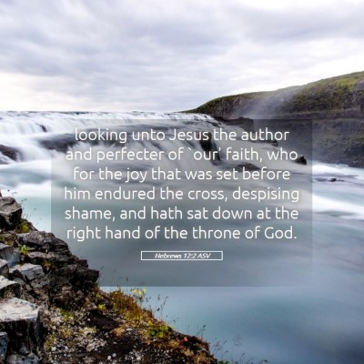Picture 05 - Hebrews 12:2 ASV - looking unto Jesus the author and perfecter of - Bible Verse Picture