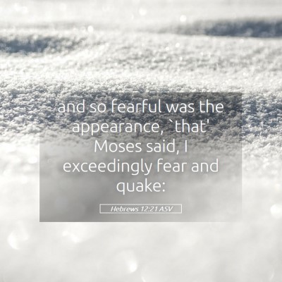 Picture 05 - Hebrews 12:21 ASV - and so fearful was the appearance, `that' Moses - Bible Verse Picture