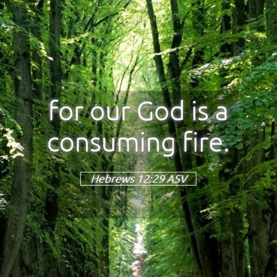 Picture 05 - Hebrews 12:29 ASV - for our God is a consuming - Bible Verse Picture
