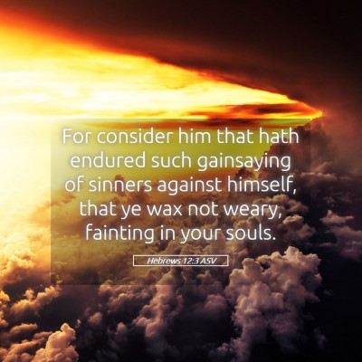 Picture 05 - Hebrews 12:3 ASV - For consider him that hath endured such - Bible Verse Picture
