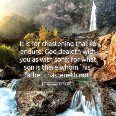 Picture 05 - Hebrews 12:7 ASV - It is for chastening that ye endure; God dealeth - Bible Verse Picture