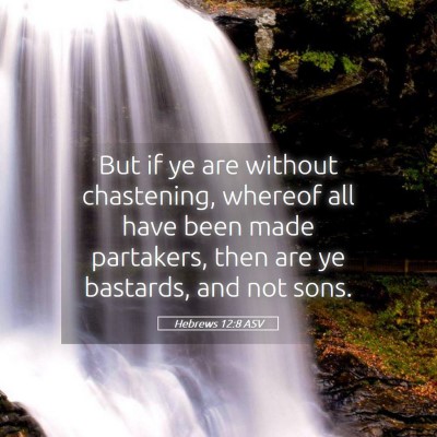 Picture 05 - Hebrews 12:8 ASV - But if ye are without chastening, whereof all - Bible Verse Picture