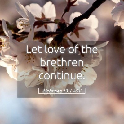 Picture 05 - Hebrews 13:1 ASV - Let love of the brethren - Bible Verse Picture