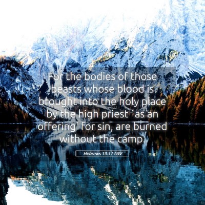 Picture 05 - Hebrews 13:11 ASV - For the bodies of those beasts whose blood is - Bible Verse Picture
