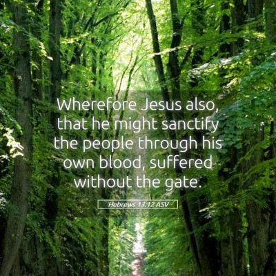 Picture 05 - Hebrews 13:12 ASV - Wherefore Jesus also, that he might sanctify the - Bible Verse Picture