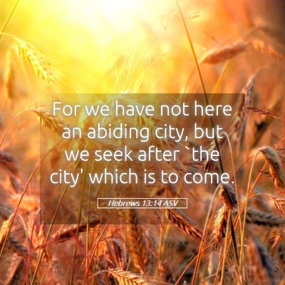 Picture 05 - Hebrews 13:14 ASV - For we have not here an abiding city, but we seek - Bible Verse Picture