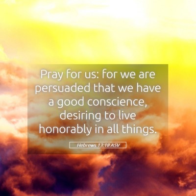 Picture 05 - Hebrews 13:18 ASV - Pray for us: for we are persuaded that we have a - Bible Verse Picture
