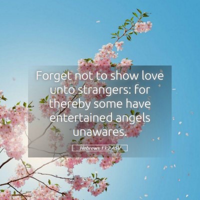 Picture 05 - Hebrews 13:2 ASV - Forget not to show love unto strangers: for - Bible Verse Picture