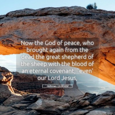 Picture 05 - Hebrews 13:20 ASV - Now the God of peace, who brought again from the - Bible Verse Picture