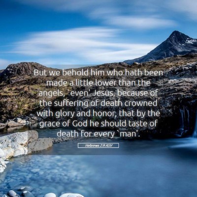 Picture 05 - Hebrews 2:9 ASV - But we behold him who hath been made a little - Bible Verse Picture