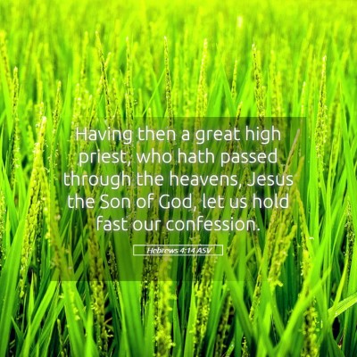 Picture 05 - Hebrews 4:14 ASV - Having then a great high priest, who hath passed - Bible Verse Picture
