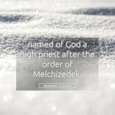 Picture 05 - Hebrews 5:10 ASV - named of God a high priest after the order of - Bible Verse Picture