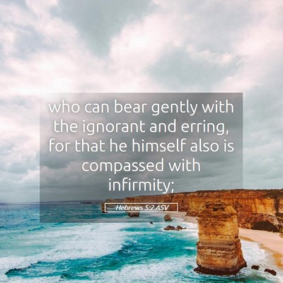 Picture 05 - Hebrews 5:2 ASV - who can bear gently with the ignorant and erring, - Bible Verse Picture