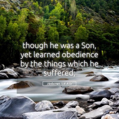 Picture 05 - Hebrews 5:8 ASV - though he was a Son, yet learned obedience by the - Bible Verse Picture