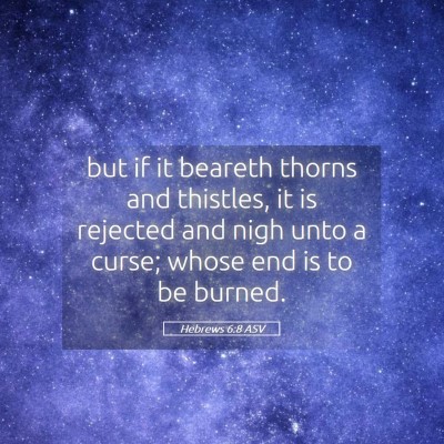 Picture 05 - Hebrews 6:8 ASV - but if it beareth thorns and thistles, it is - Bible Verse Picture