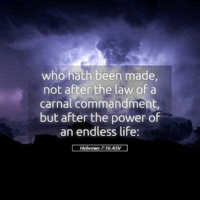 Picture 05 - Hebrews 7:16 ASV - who hath been made, not after the law of a carnal - Bible Verse Picture