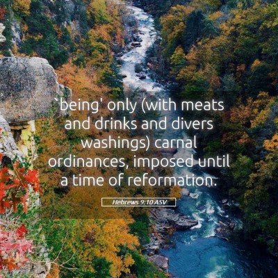 Picture 05 - Hebrews 9:10 ASV - `being' only (with meats and drinks and divers - Bible Verse Picture