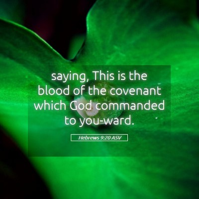 Picture 05 - Hebrews 9:20 ASV - saying, This is the blood of the covenant which - Bible Verse Picture