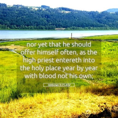 Picture 05 - Hebrews 9:25 ASV - nor yet that he should offer himself often, as - Bible Verse Picture