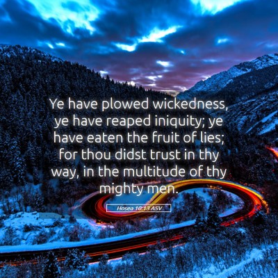 Picture 05 - Hosea 10:13 ASV - Ye have plowed wickedness, ye have reaped - Bible Verse Picture