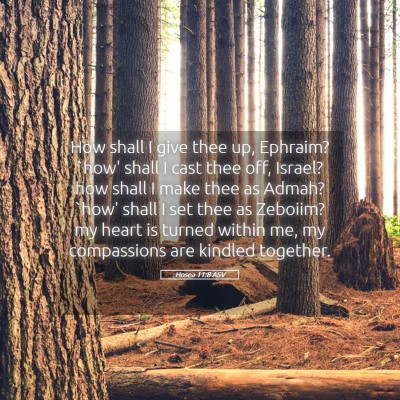Picture 05 - Hosea 11:8 ASV - How shall I give thee up, Ephraim? `how' shall I - Bible Verse Picture
