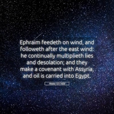 Picture 05 - Hosea 12:1 ASV - Ephraim feedeth on wind, and followeth after the - Bible Verse Picture