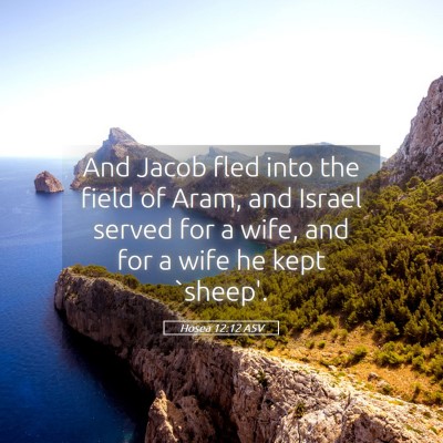 Picture 05 - Hosea 12:12 ASV - And Jacob fled into the field of Aram, and Israel - Bible Verse Picture