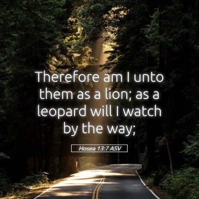 Picture 05 - Hosea 13:7 ASV - Therefore am I unto them as a lion; as a leopard - Bible Verse Picture