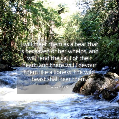 Picture 05 - Hosea 13:8 ASV - I will meet them as a bear that is bereaved of - Bible Verse Picture