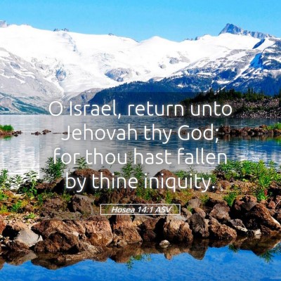 Picture 05 - Hosea 14:1 ASV - O Israel, return unto Jehovah thy God; for thou - Bible Verse Picture