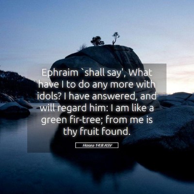 Picture 05 - Hosea 14:8 ASV - Ephraim `shall say', What have I to do any more - Bible Verse Picture