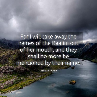 Picture 05 - Hosea 2:17 ASV - For I will take away the names of the Baalim out - Bible Verse Picture