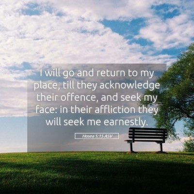 Picture 05 - Hosea 5:15 ASV - I will go and return to my place, till they - Bible Verse Picture