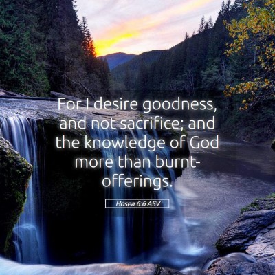 Picture 05 - Hosea 6:6 ASV - For I desire goodness, and not sacrifice; and the - Bible Verse Picture