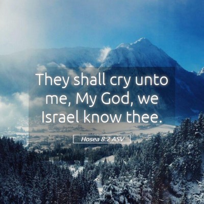 Picture 05 - Hosea 8:2 ASV - They shall cry unto me, My God, we Israel know - Bible Verse Picture
