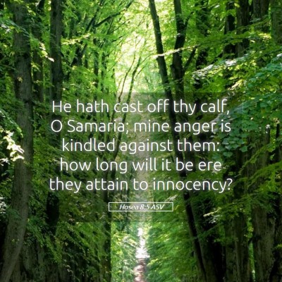 Picture 05 - Hosea 8:5 ASV - He hath cast off thy calf, O Samaria; mine anger - Bible Verse Picture