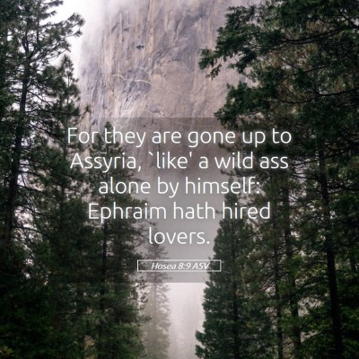 Picture 05 - Hosea 8:9 ASV - For they are gone up to Assyria, `like' a wild - Bible Verse Picture