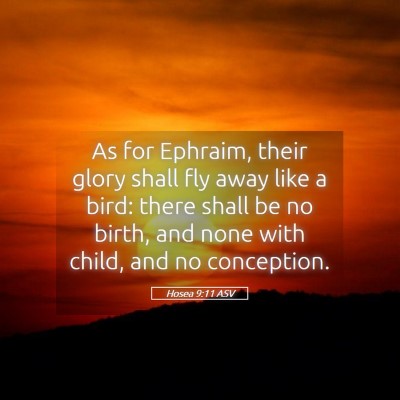 Picture 05 - Hosea 9:11 ASV - As for Ephraim, their glory shall fly away like a - Bible Verse Picture
