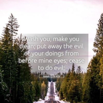 Picture 05 - Isaiah 1:16 ASV - Wash you, make you clean; put away the evil of - Bible Verse Picture