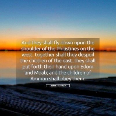 Picture 05 - Isaiah 11:14 ASV - And they shall fly down upon the shoulder of the - Bible Verse Picture