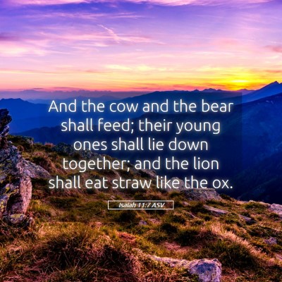 Picture 05 - Isaiah 11:7 ASV - And the cow and the bear shall feed; their young - Bible Verse Picture