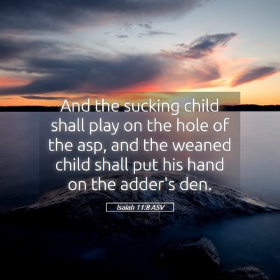 Picture 05 - Isaiah 11:8 ASV - And the sucking child shall play on the hole of - Bible Verse Picture