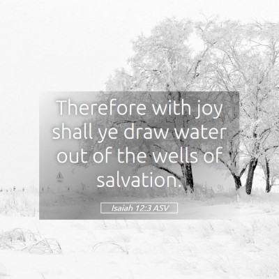 Picture 05 - Isaiah 12:3 ASV - Therefore with joy shall ye draw water out of the - Bible Verse Picture