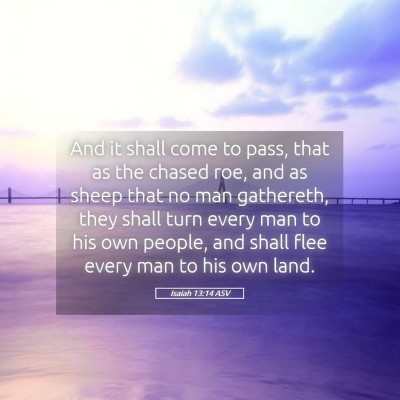 Picture 05 - Isaiah 13:14 ASV - And it shall come to pass, that as the chased - Bible Verse Picture
