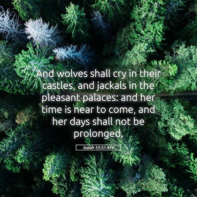 Picture 05 - Isaiah 13:22 ASV - And wolves shall cry in their castles, and - Bible Verse Picture