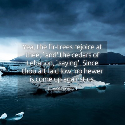 Picture 05 - Isaiah 14:8 ASV - Yea, the fir-trees rejoice at thee, `and' the - Bible Verse Picture
